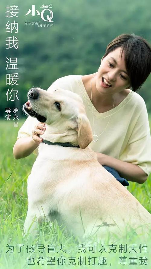购买假爱德华王子岛省身份证